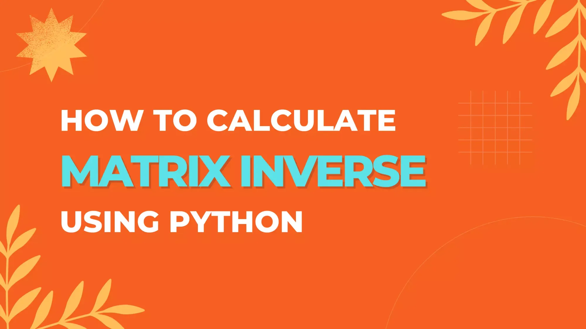 How to Calculate Matrix Inverse in Python